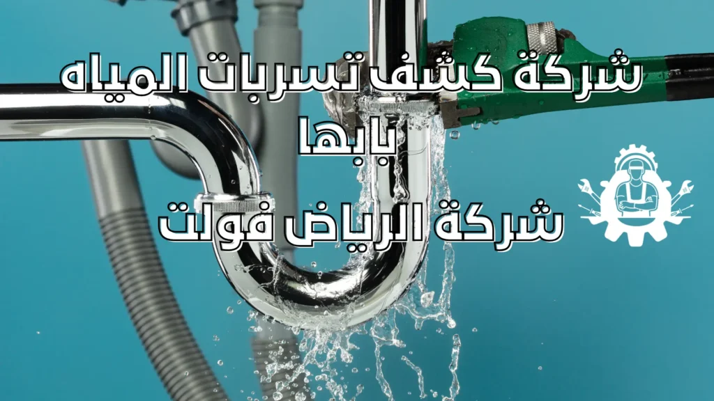شركة كشف تسربات المياه بابها